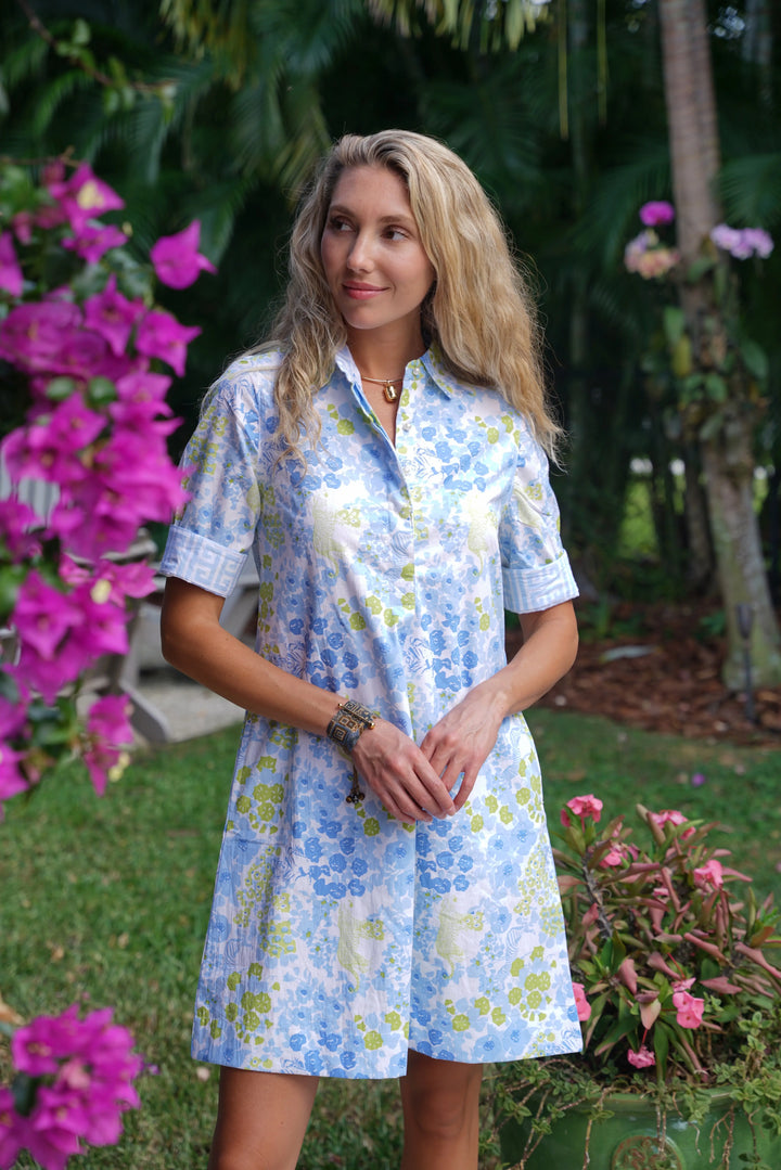 Charlotte Dress Brazil Blue