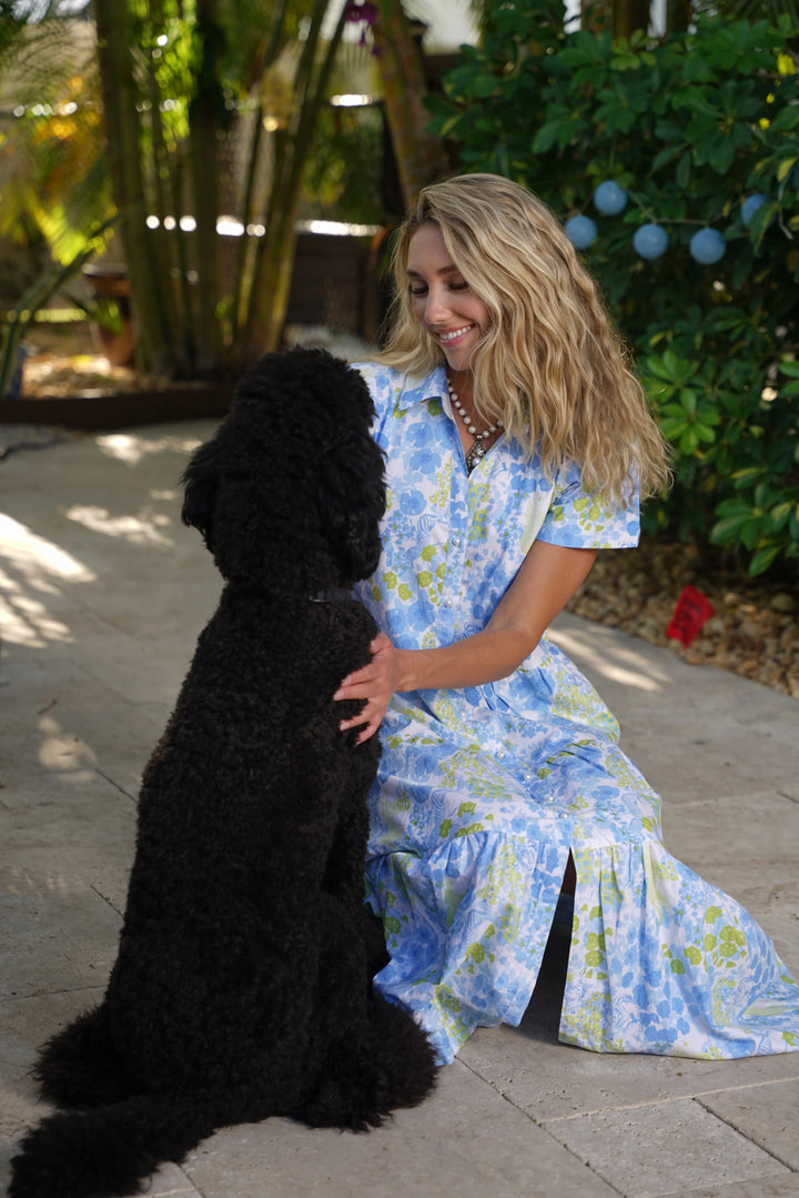 Kristina Dress Brazil Blue